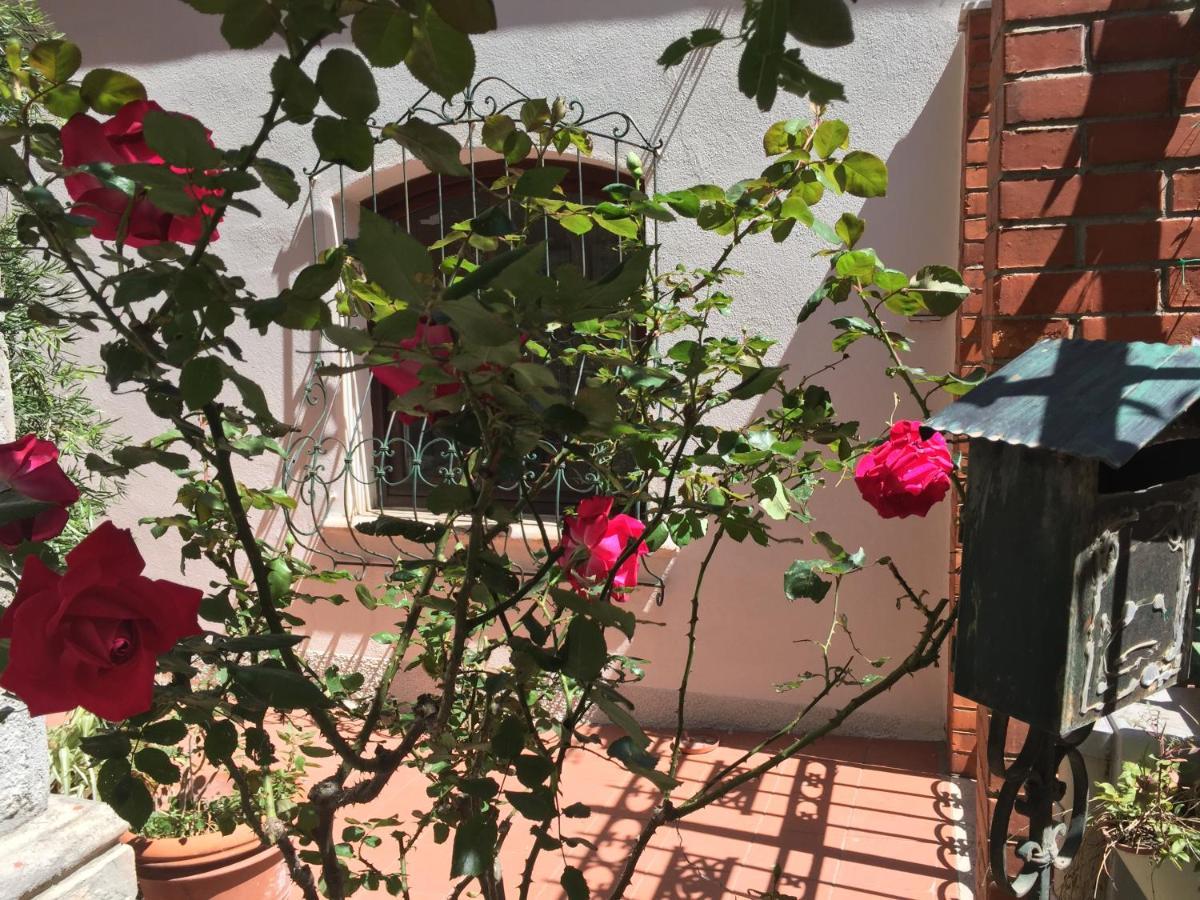 Villa Serra B&B Iun E6769 Oristano Ngoại thất bức ảnh